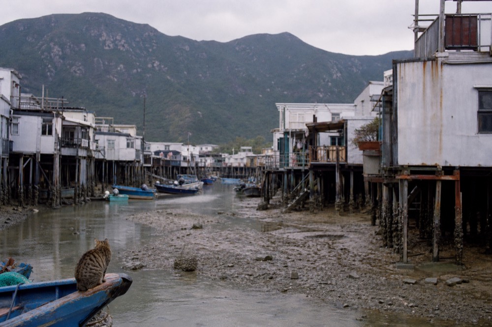 Stilt houses and small boats along the Tai O waterfront, no text, no logos, no people