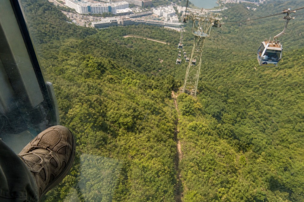 Interior of a glass-floor cable car cabin showing green terrain below, no text, no logos, no people